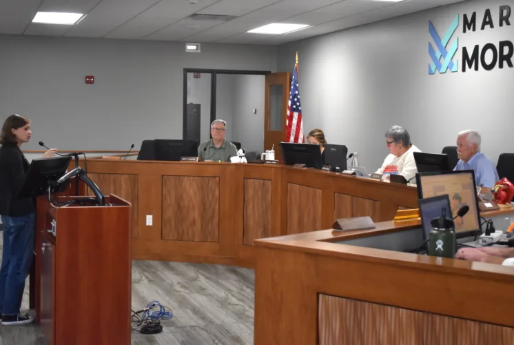 P&Z Commission sends final data center recommendations on to city council